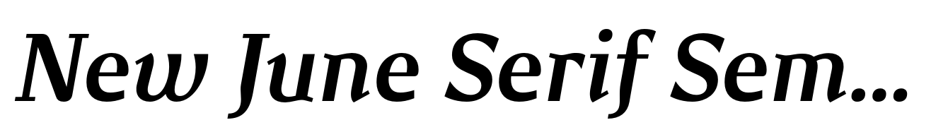 New June Serif Semibold Italic